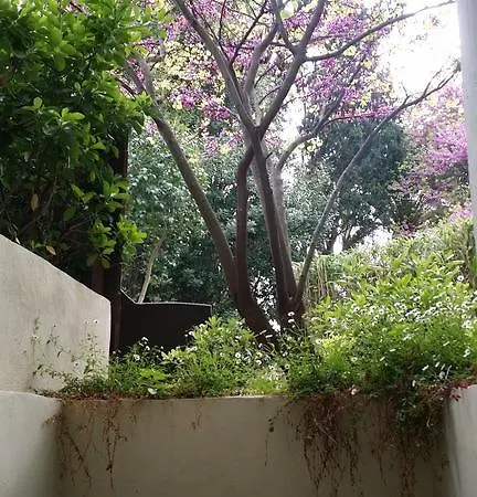 Lobelia Cannes
