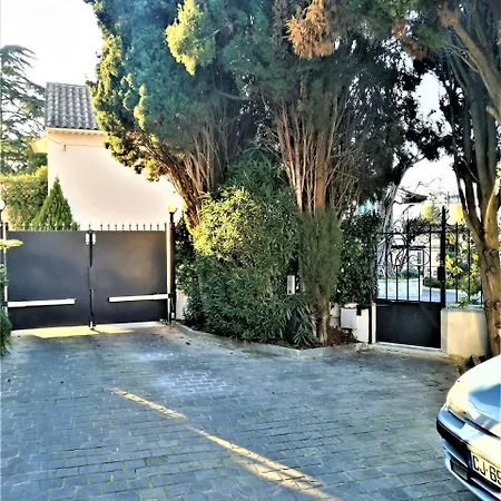 Lobelia קאן